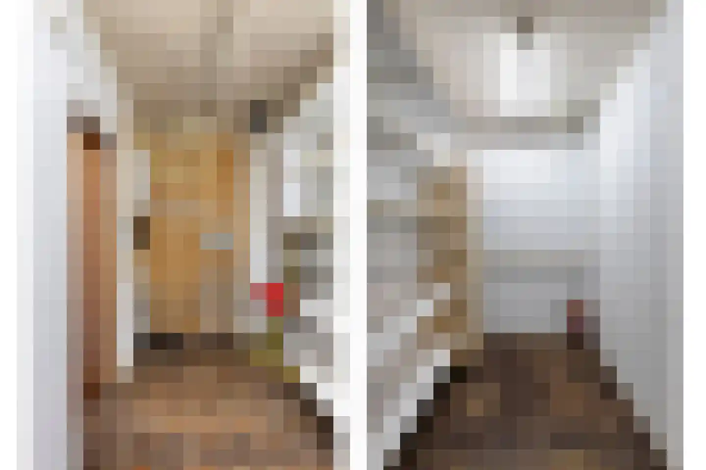 Reethsestraat 2 Valburg thumbnail 33