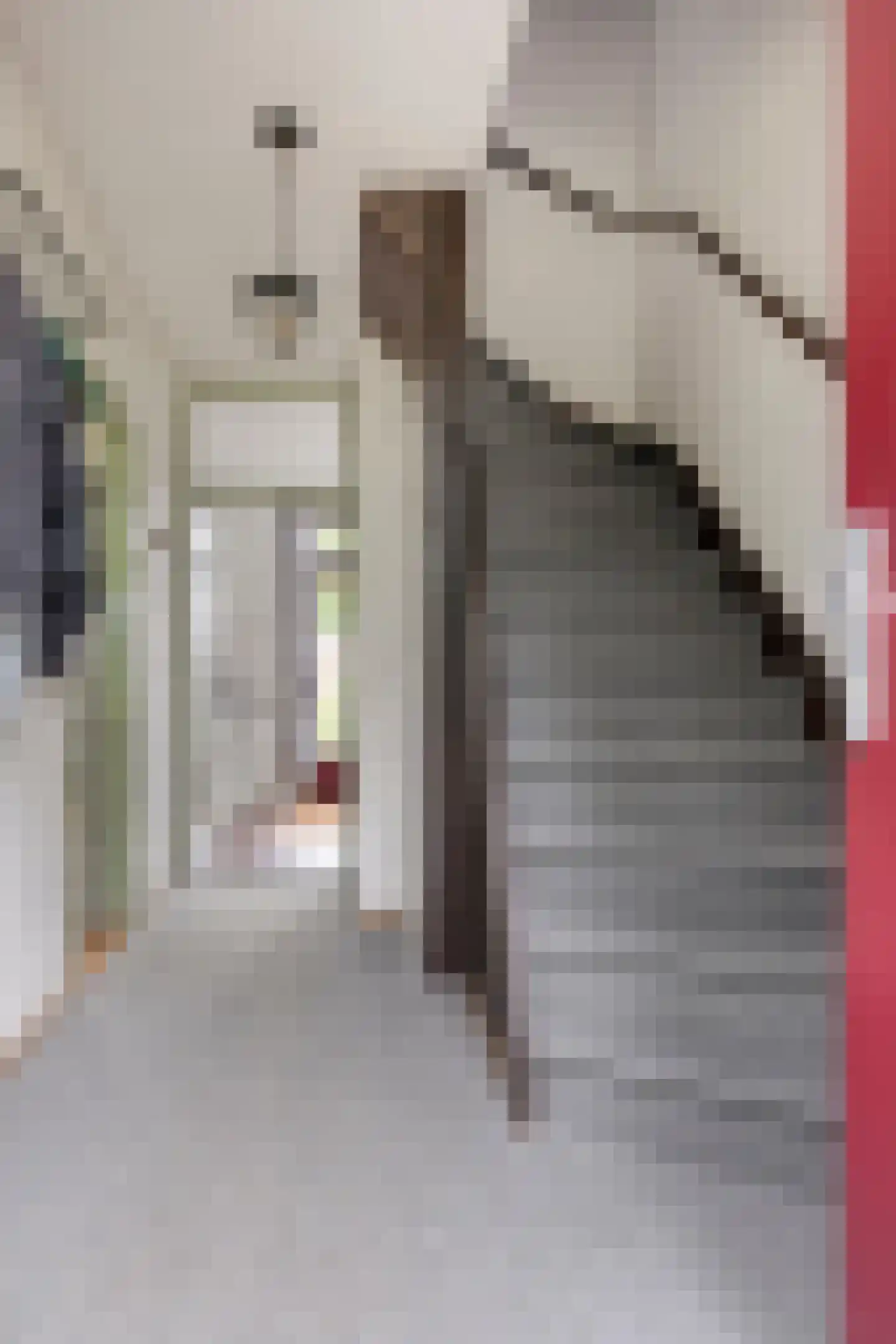 Reeuwijkplaats 13 Arnhem thumbnail 10