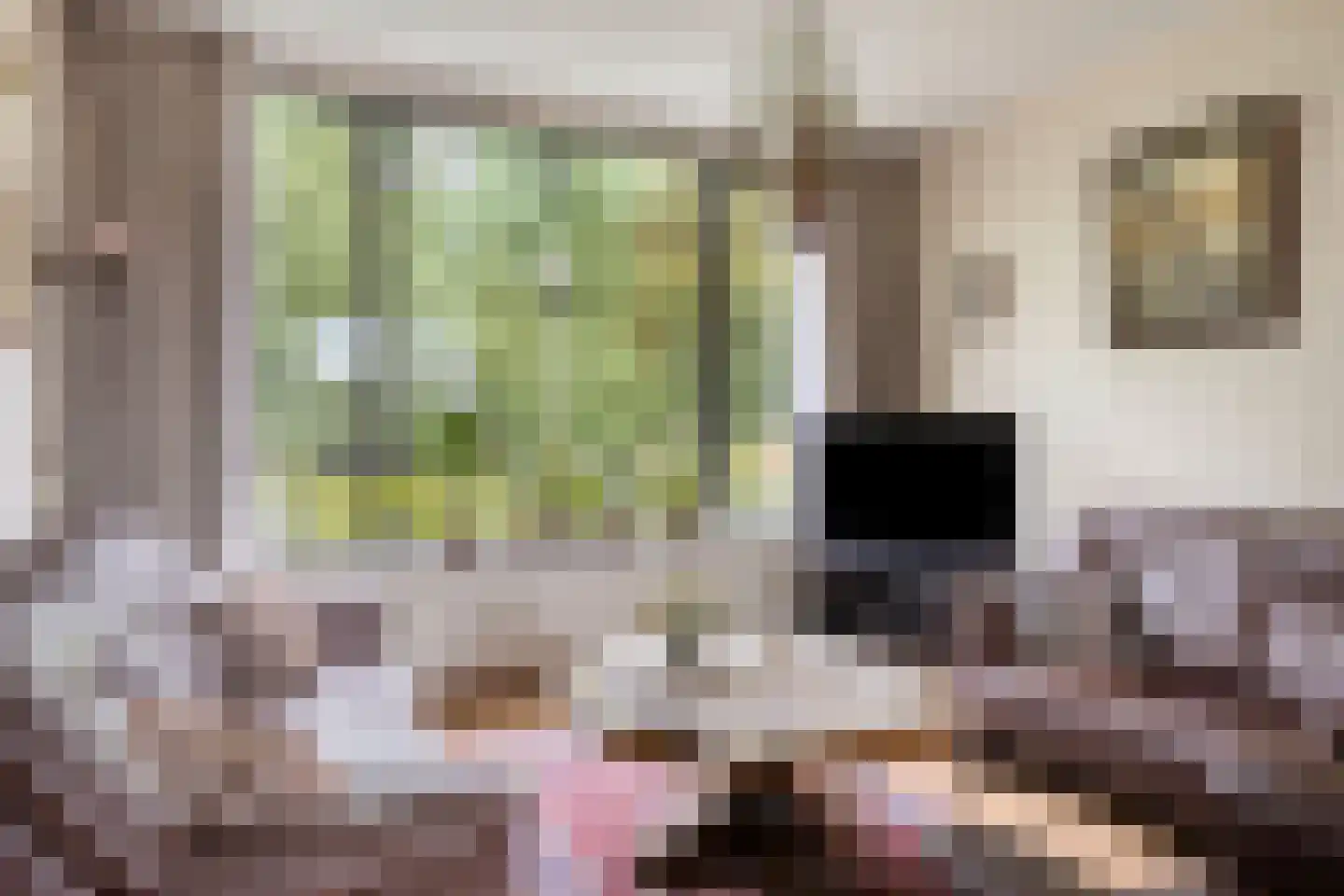 Reeuwijkplaats 13 Arnhem thumbnail 12