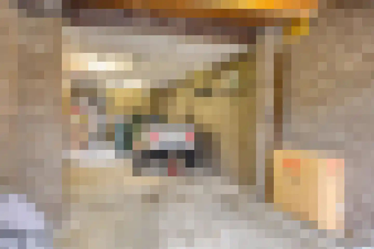 Reeuwijkplaats 13 Arnhem thumbnail 33