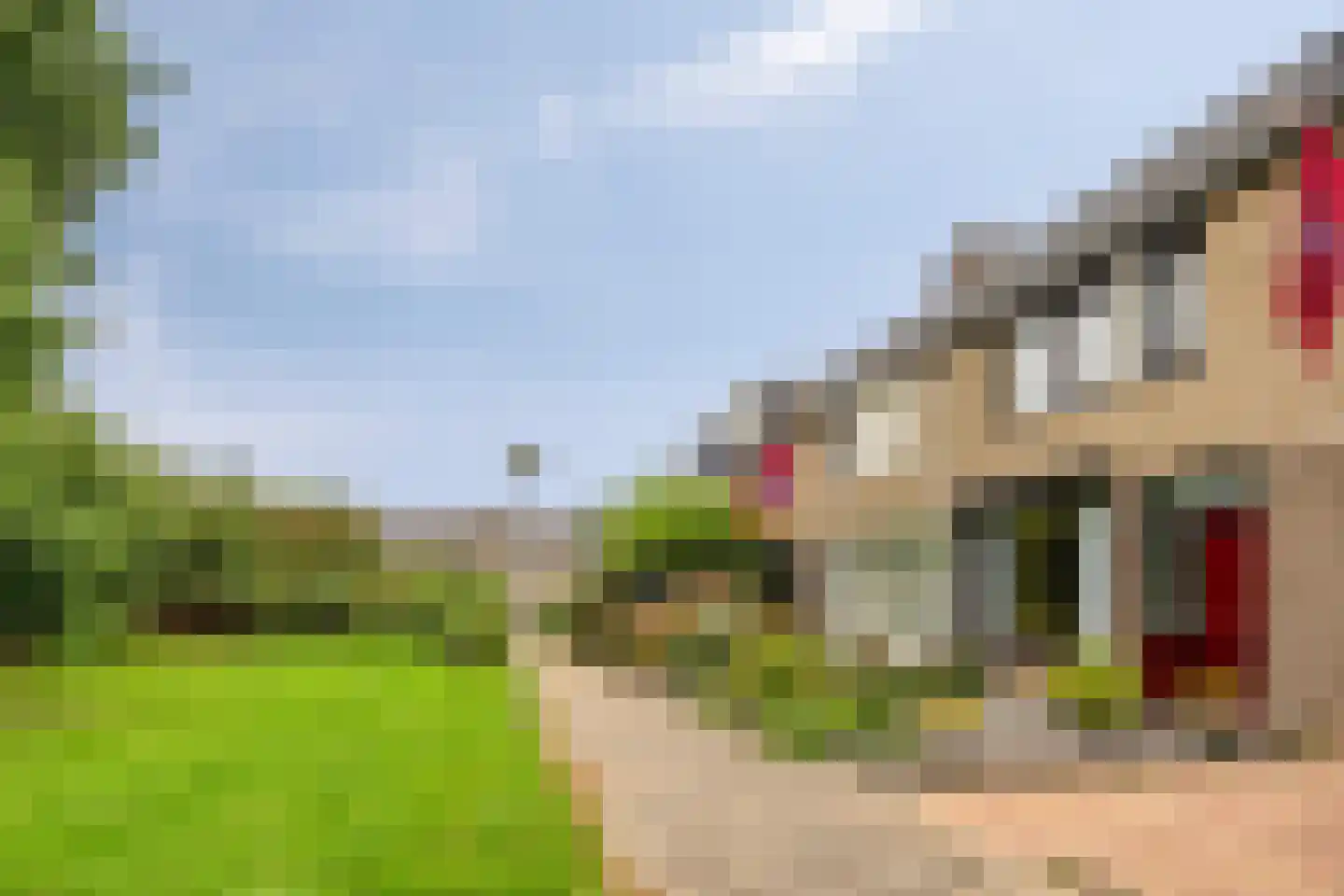Reeuwijkplaats 13 Arnhem thumbnail 7