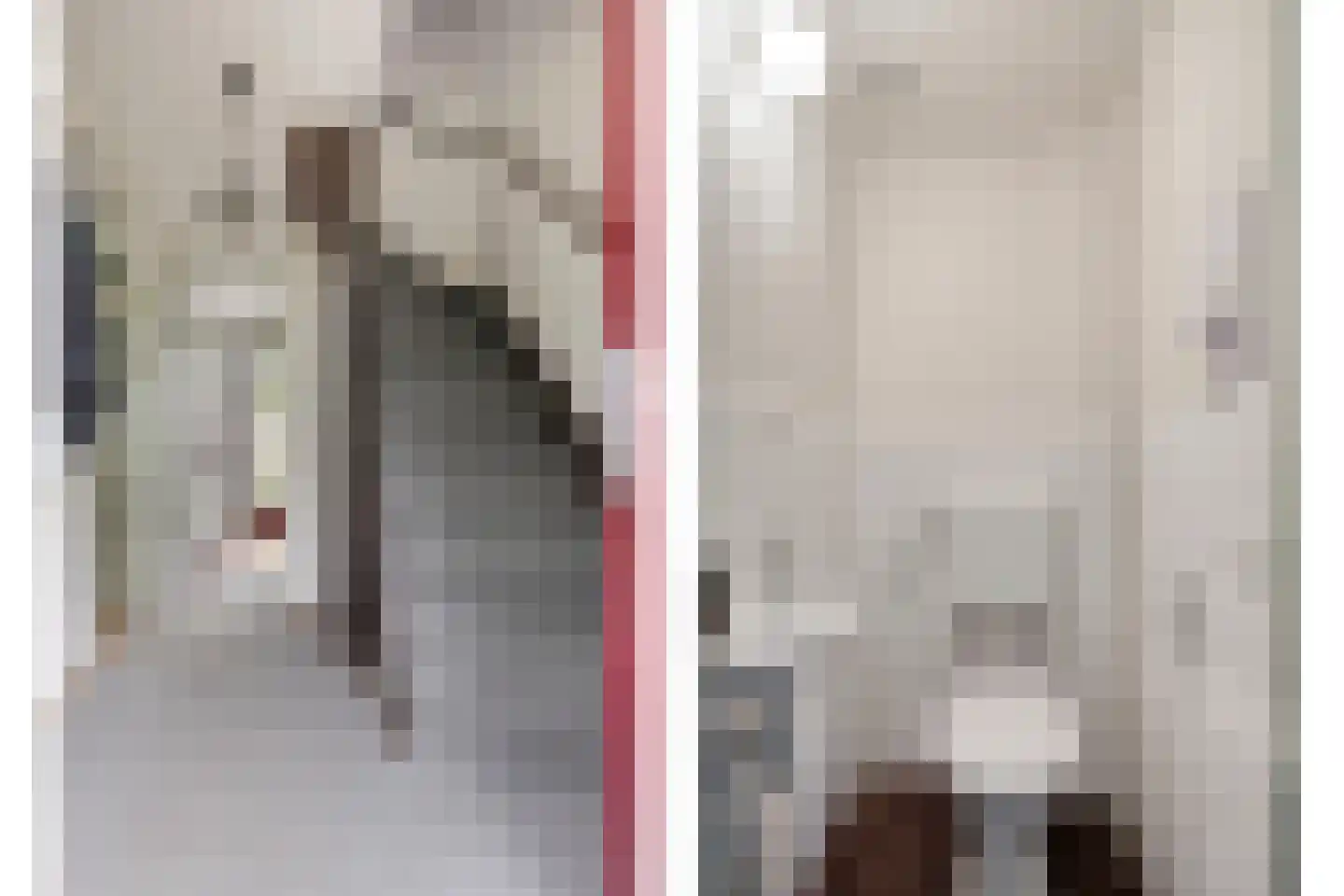 Reeuwijkplaats 13 Arnhem thumbnail 8