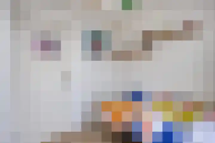 Reeuwijkplaats 7 Arnhem thumbnail 25