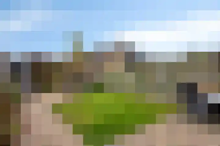 Reeuwijkplaats 7 Arnhem thumbnail 30