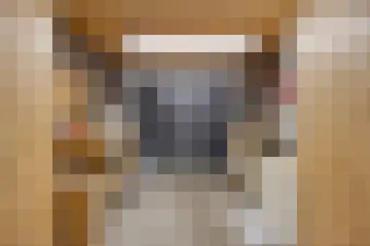 Reeuwijkplaats 7 Arnhem thumbnail 34