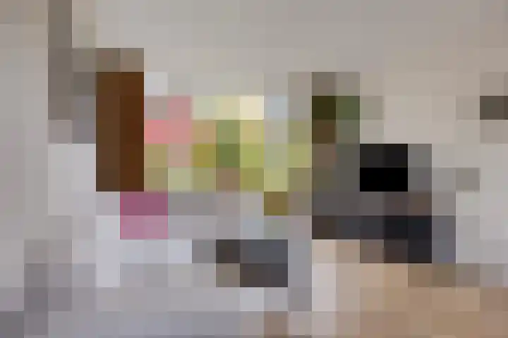 Reeuwijkplaats 7 Arnhem thumbnail 8