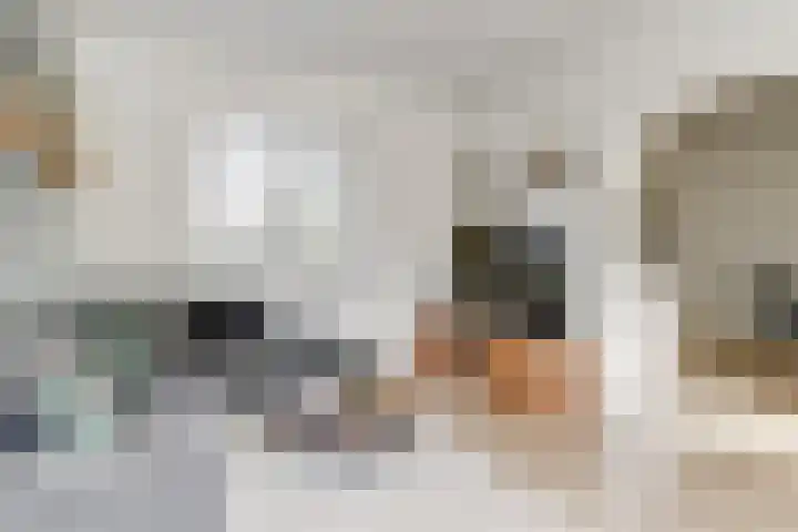 Reeuwijkstraat 17 Ammerzoden thumbnail 6