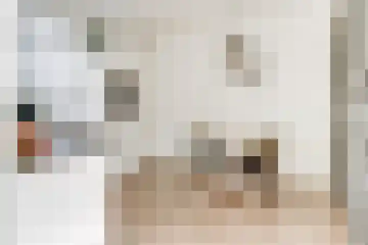 Reeuwijkstraat 17 Ammerzoden thumbnail 8