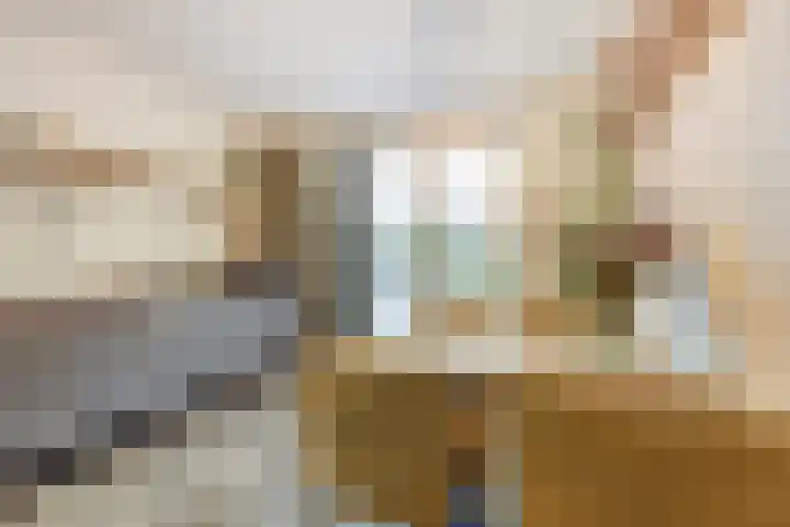 Reeuwijkstraat 2 Ammerzoden thumbnail 16