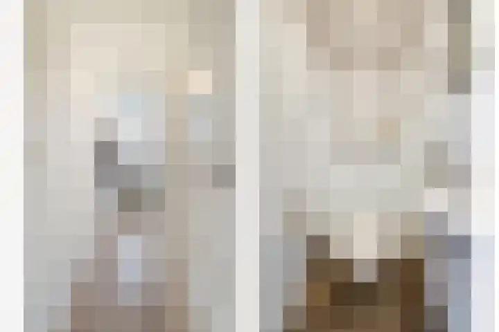 Reeuwijkstraat 2 Ammerzoden thumbnail 19