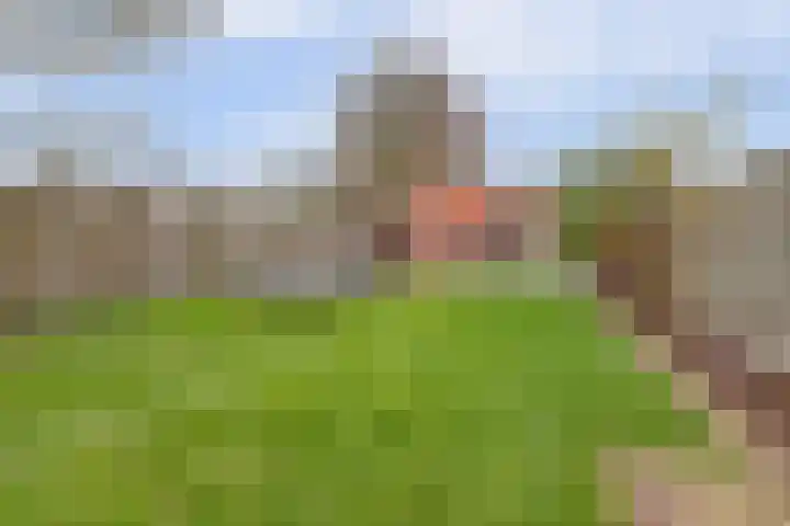 Reeuwijkstraat 2 Ammerzoden thumbnail 37