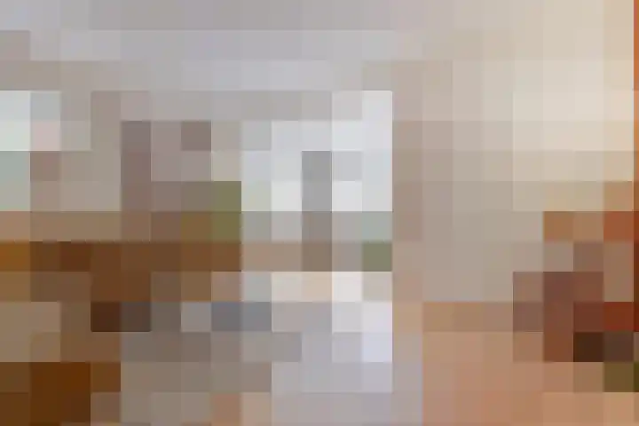 Reeuwijkstraat 2 Ammerzoden thumbnail 4