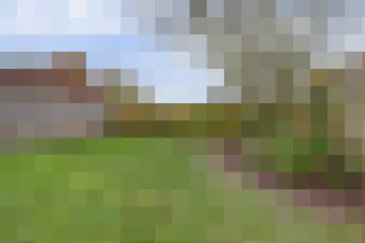 Reeuwijkstraat 2 Ammerzoden thumbnail 41