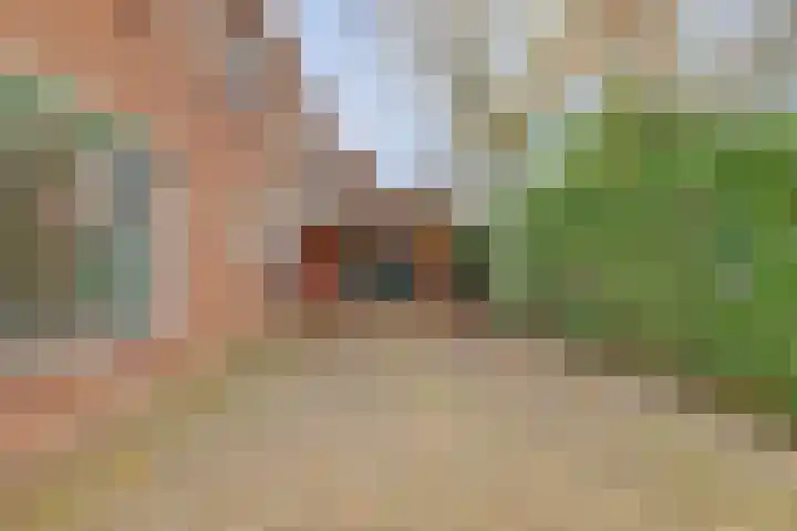 Reeuwijkstraat 2 Ammerzoden thumbnail 45