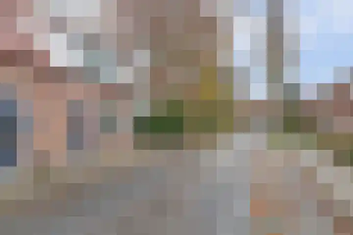 Reeuwijkstraat 2 Ammerzoden thumbnail 48