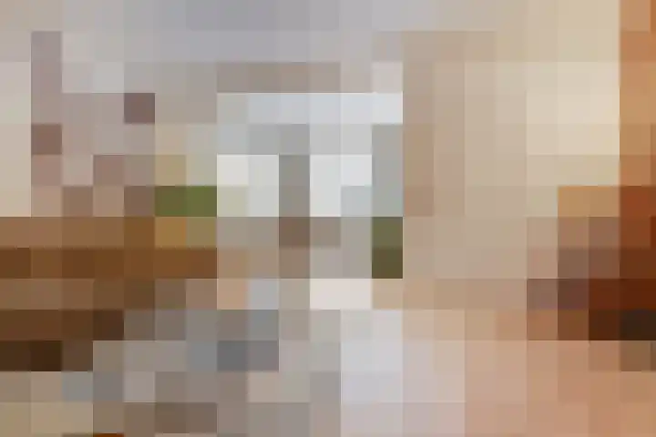 Reeuwijkstraat 2 Ammerzoden thumbnail 8