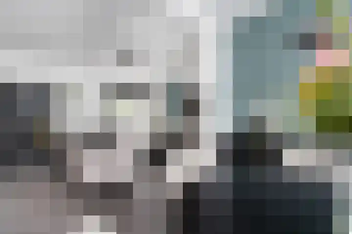 Reeuwijkstraat 24 Ammerzoden thumbnail 10