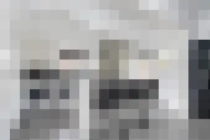 Reeuwijkstraat 24 Ammerzoden thumbnail 13