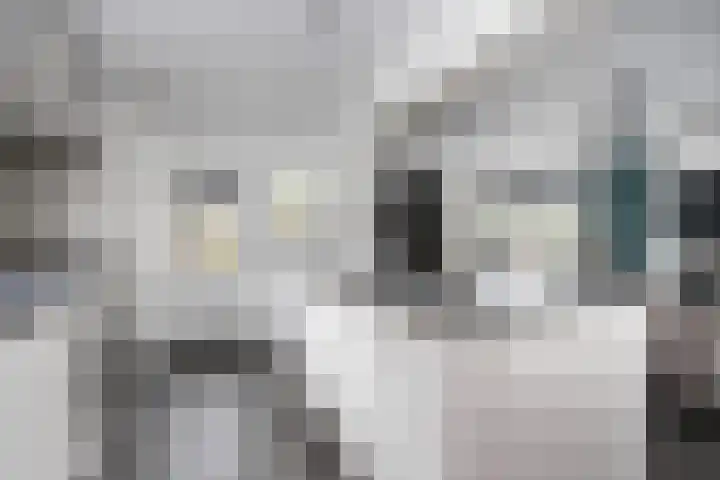Reeuwijkstraat 24 Ammerzoden thumbnail 17