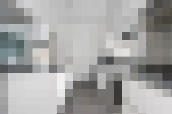 Reeuwijkstraat 24 Ammerzoden thumbnail 19