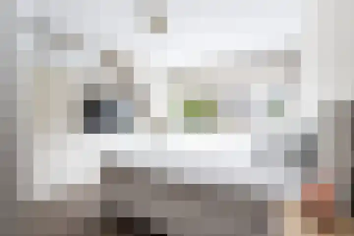 Reeuwijkstraat 24 Ammerzoden thumbnail 28