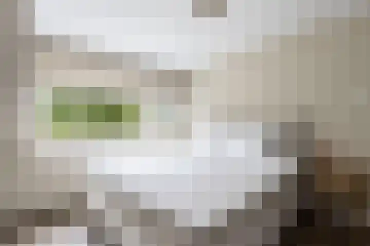 Reeuwijkstraat 24 Ammerzoden thumbnail 29