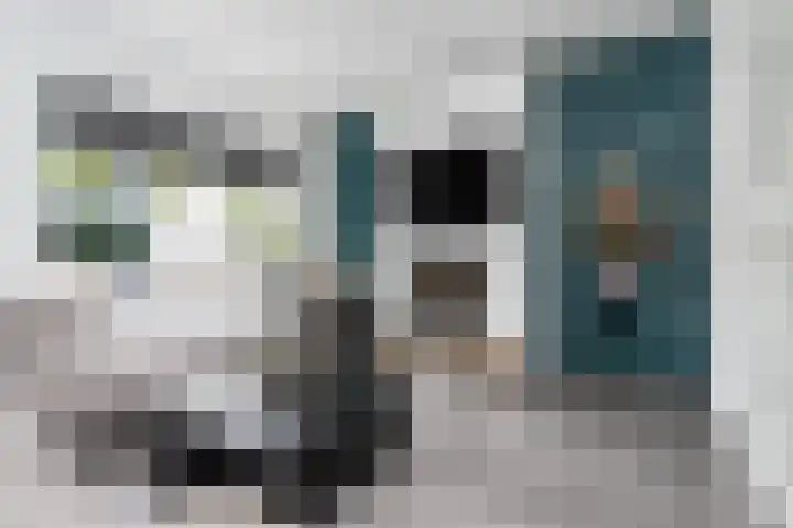 Reeuwijkstraat 24 Ammerzoden thumbnail 4