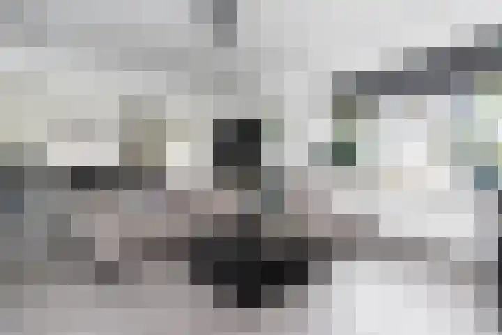 Reeuwijkstraat 24 Ammerzoden thumbnail 7