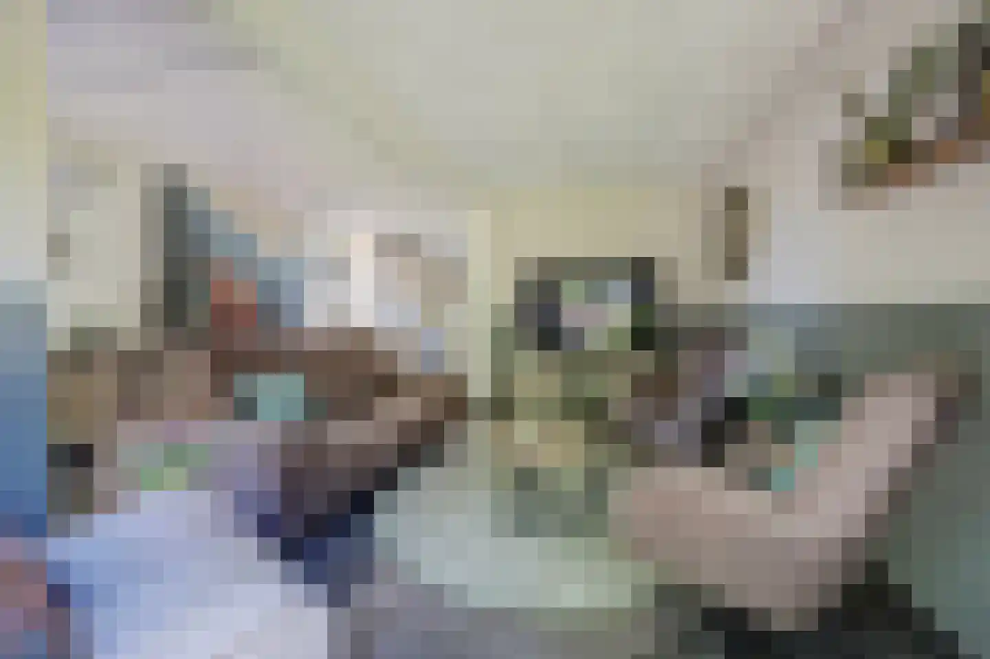 Reeveld 2 Cuijk thumbnail 13