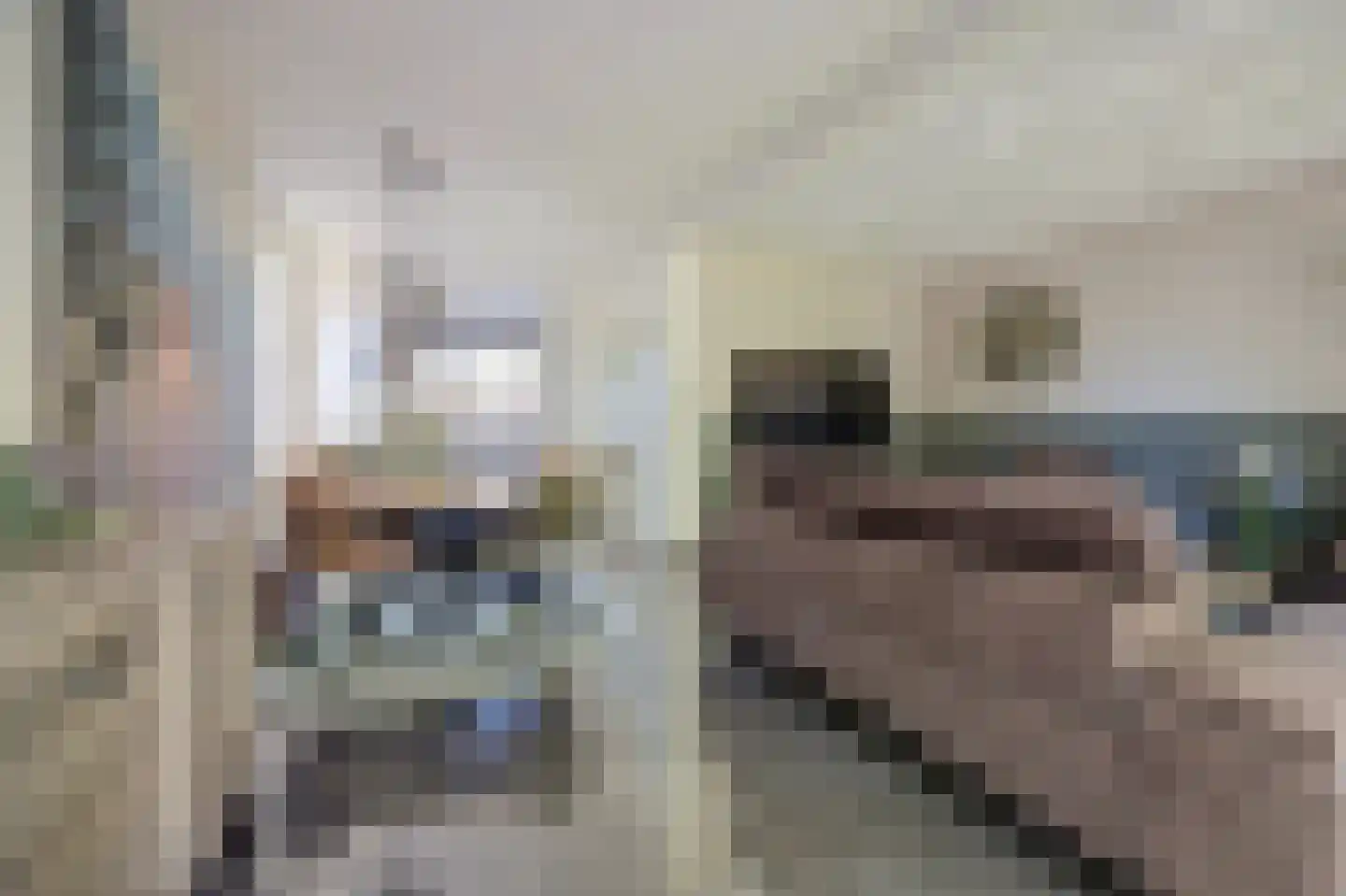 Reeveld 2 Cuijk thumbnail 14