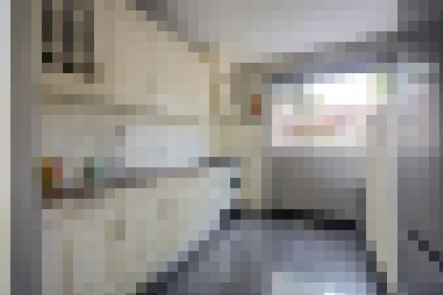 Reeveld 2 Cuijk thumbnail 18
