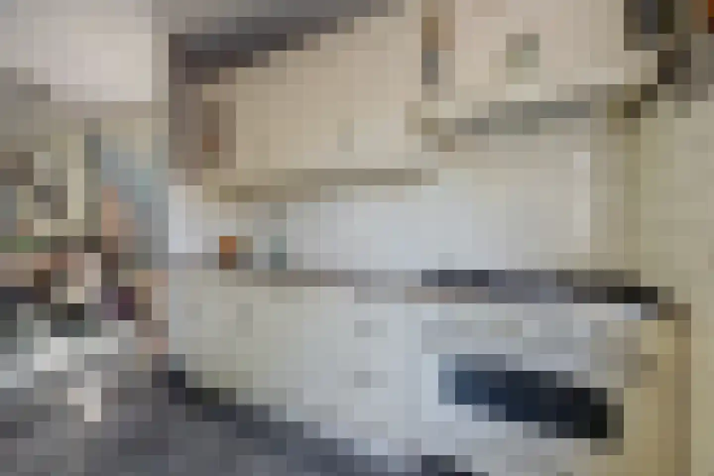 Reeveld 2 Cuijk thumbnail 19