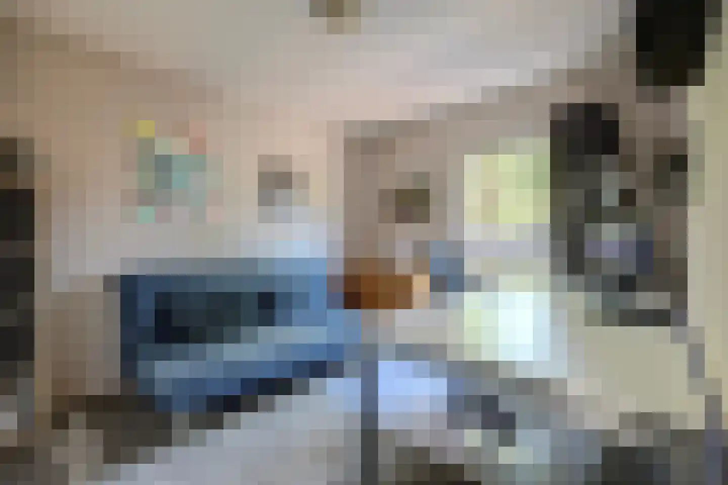 Reeveld 2 Cuijk thumbnail 23