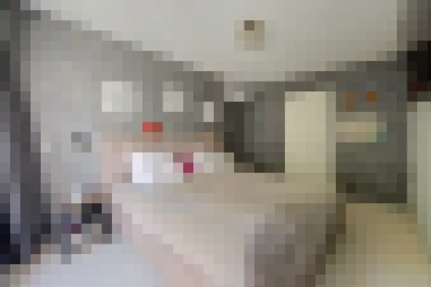 Reeveld 2 Cuijk thumbnail 24