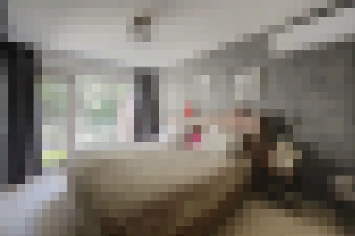 Reeveld 2 Cuijk thumbnail 25
