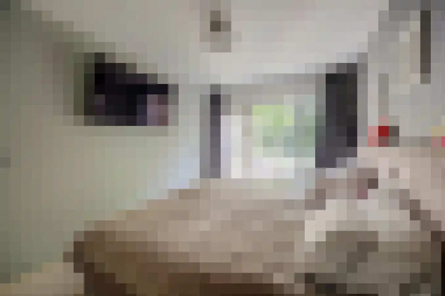 Reeveld 2 Cuijk thumbnail 26