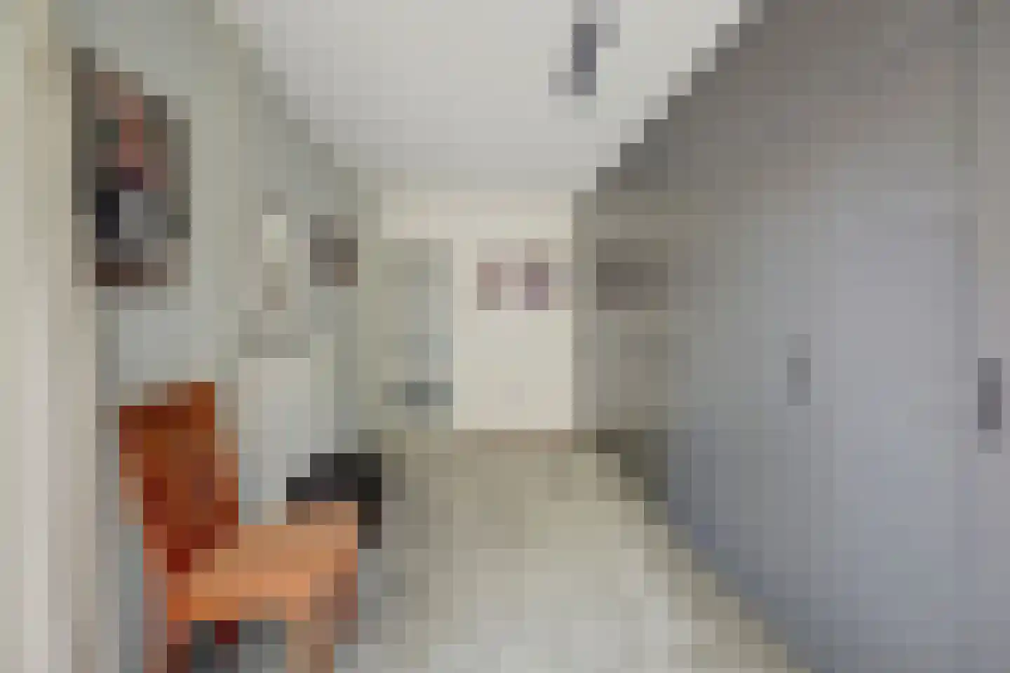 Reeveld 2 Cuijk thumbnail 28