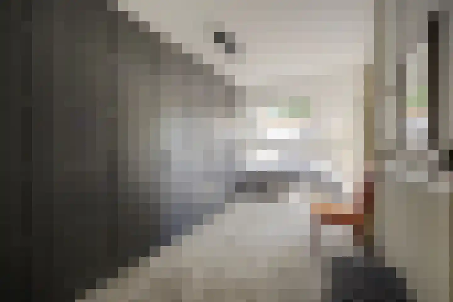 Reeveld 2 Cuijk thumbnail 29