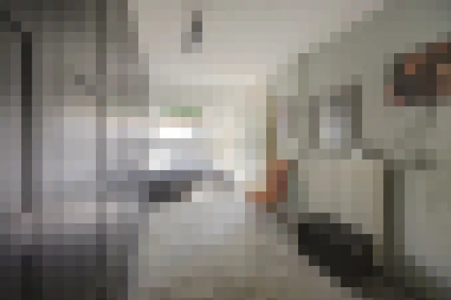 Reeveld 2 Cuijk thumbnail 30