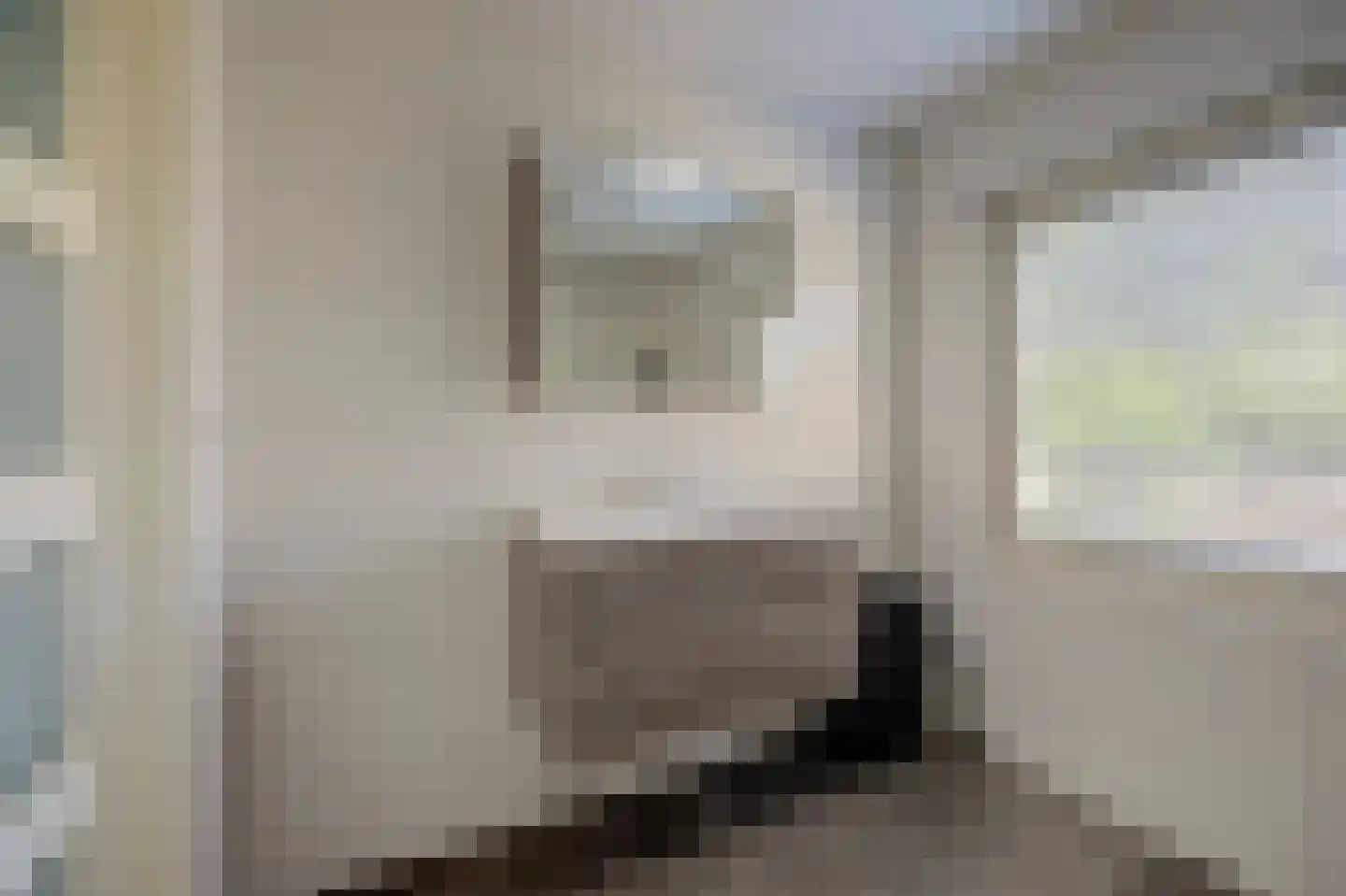 Reeveld 2 Cuijk thumbnail 32