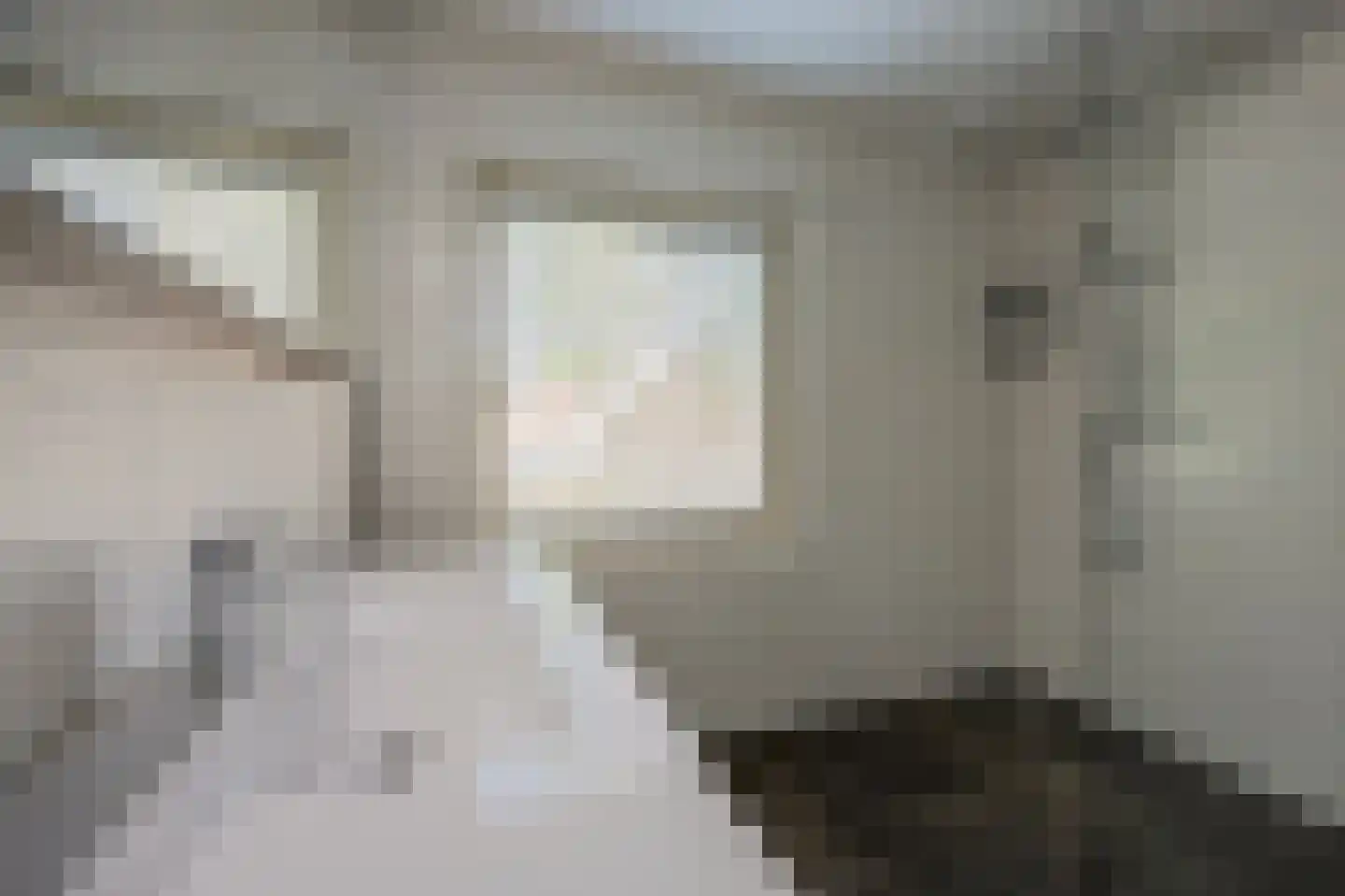 Reeveld 2 Cuijk thumbnail 33