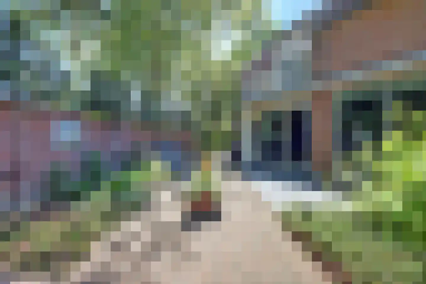 Reeveld 2 Cuijk thumbnail 38