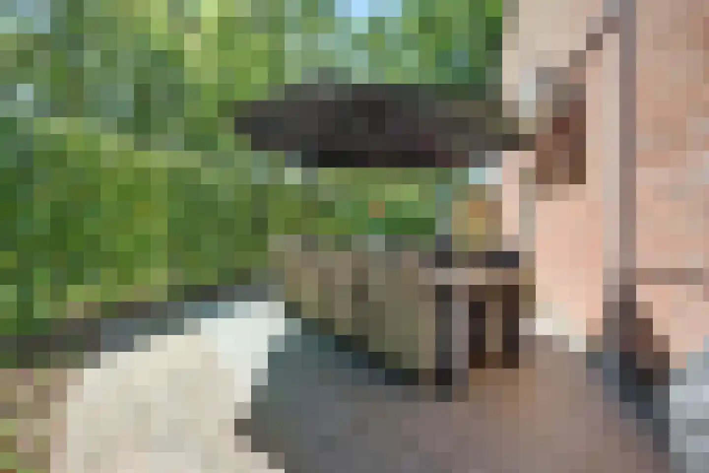 Reeveld 2 Cuijk thumbnail 41