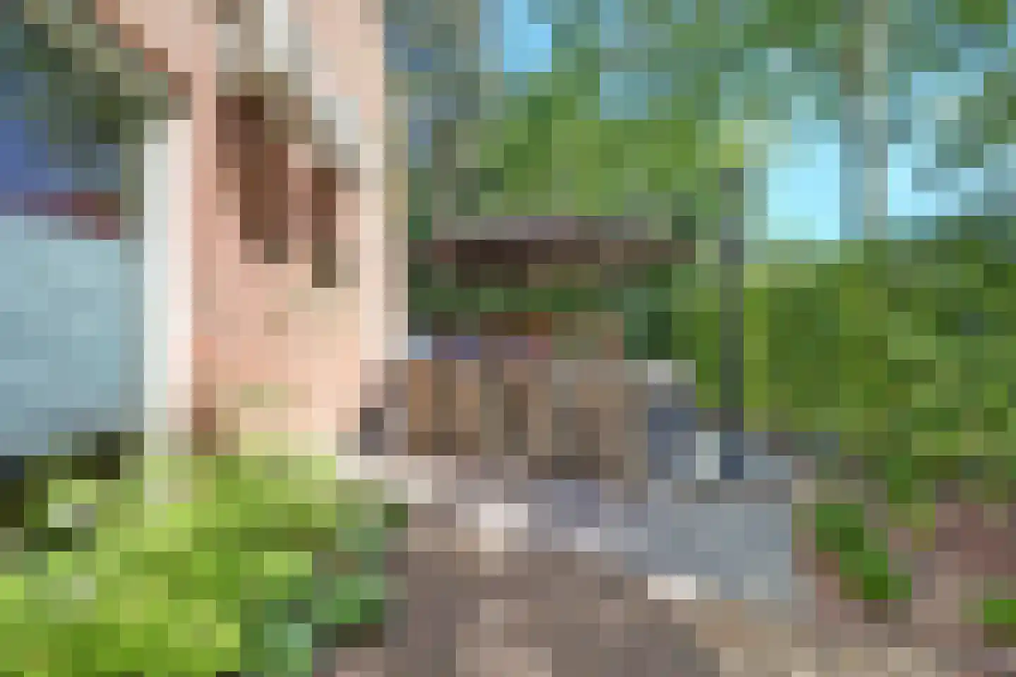 Reeveld 2 Cuijk thumbnail 42