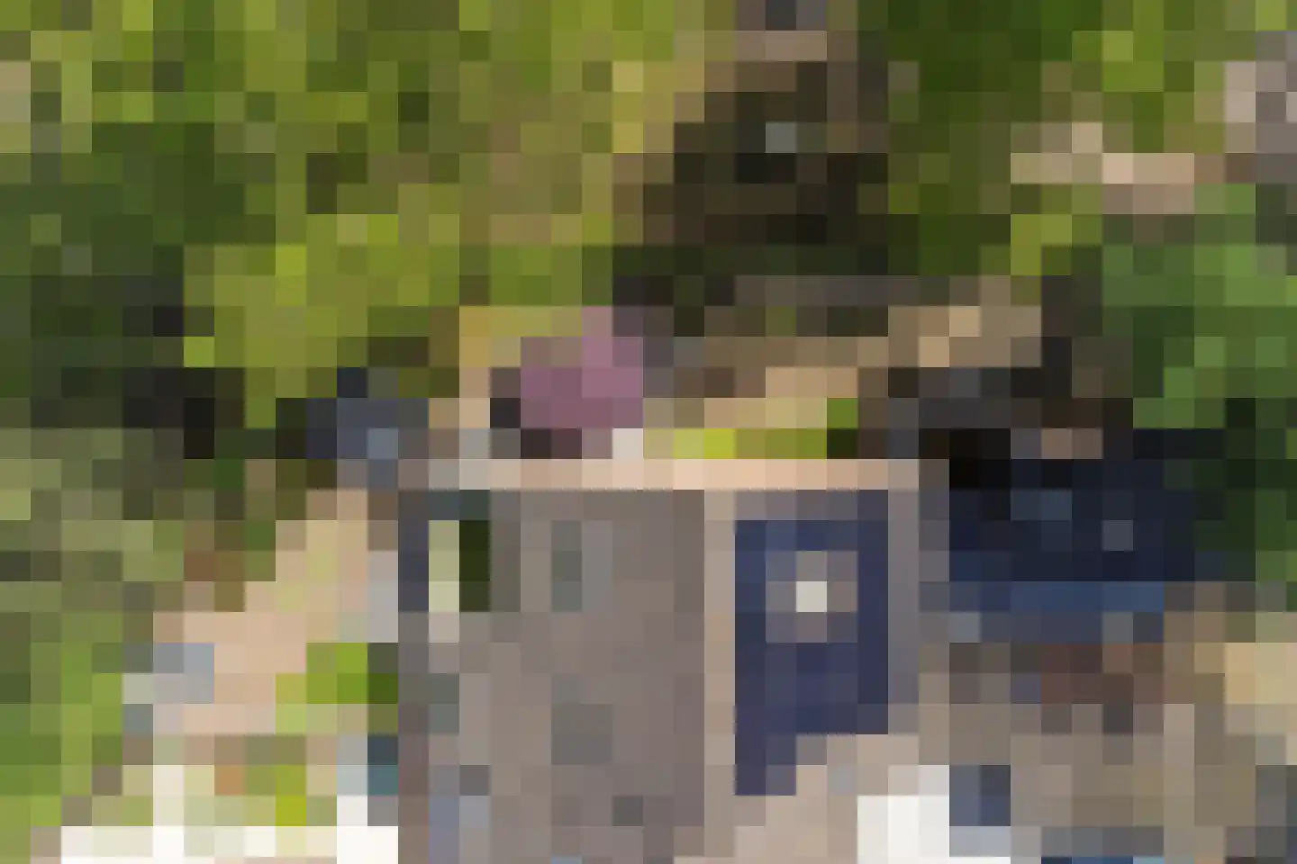 Reeveld 2 Cuijk thumbnail 45