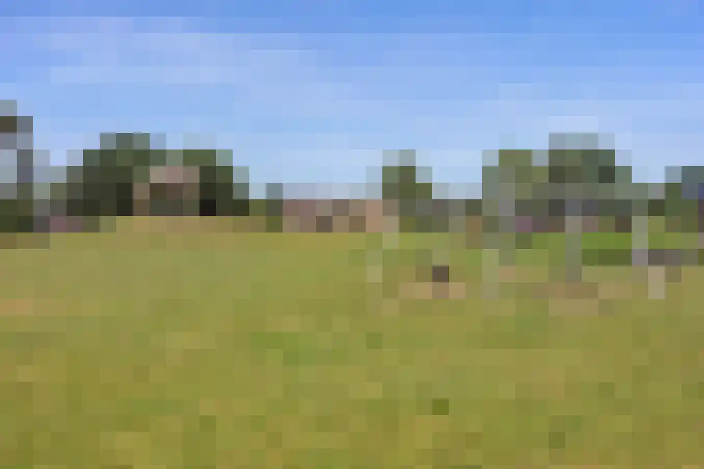 Reeveld 2 Cuijk thumbnail 49