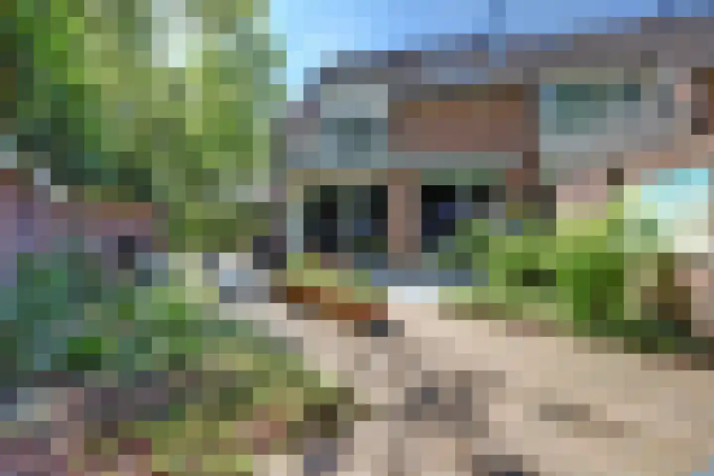 Reeveld 2 Cuijk thumbnail 5