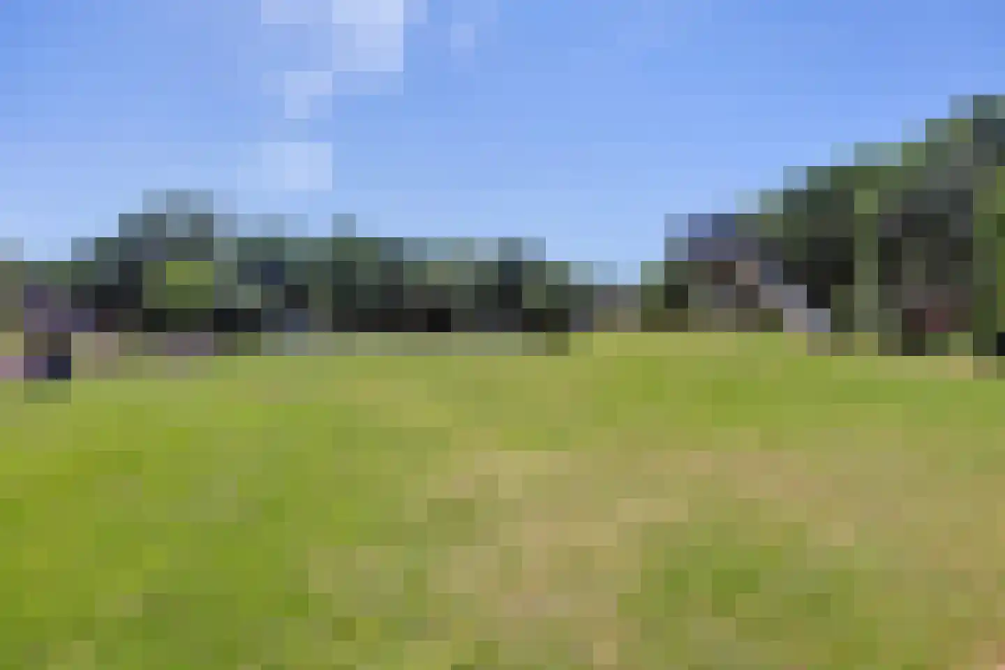 Reeveld 2 Cuijk thumbnail 50