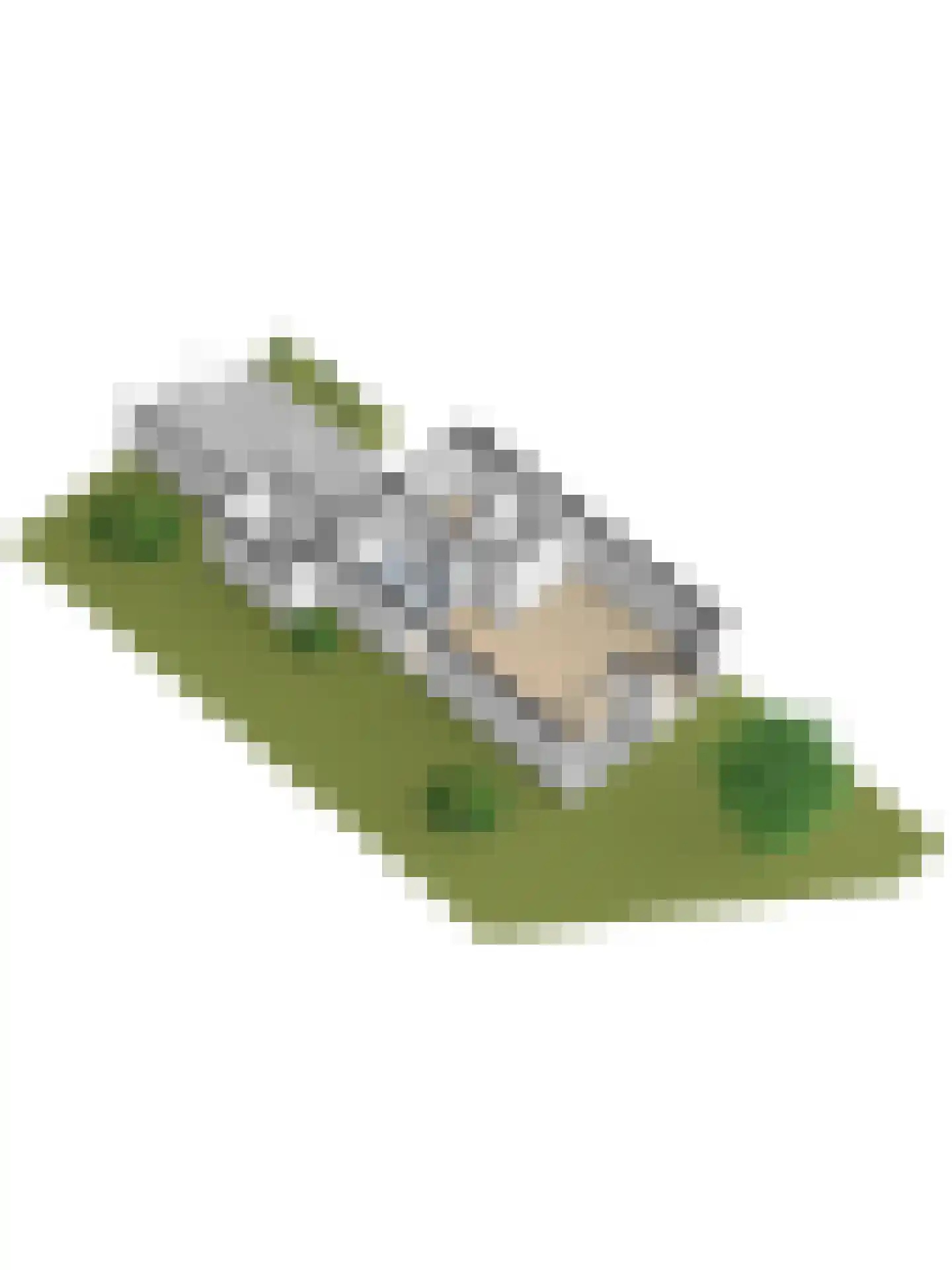 Reeveld 2 Cuijk thumbnail 60