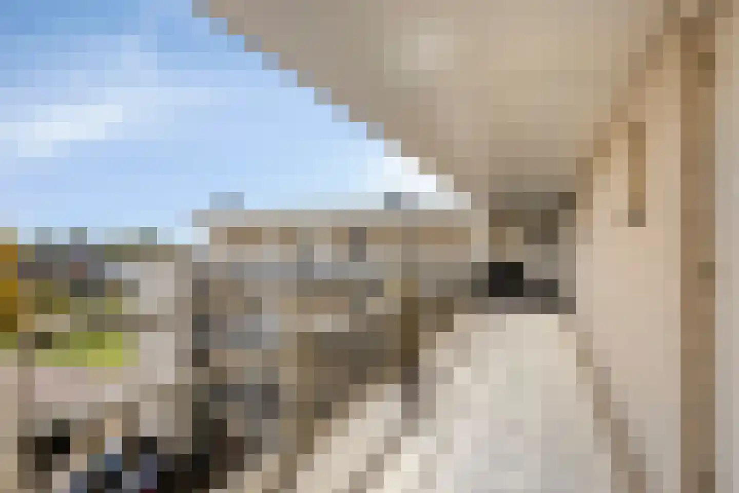 Reevelden 108 Best thumbnail 12
